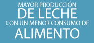 Leche